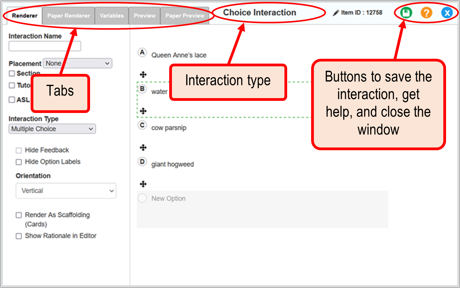 Choice interaction editor window: Multiple Choice: Renderer tab